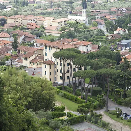 Grappolo D'oro Pietrasanta