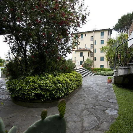 Grappolo D'oro Pietrasanta